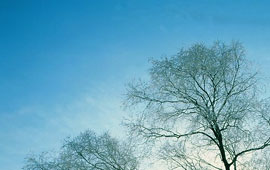 手机号呼叫软件